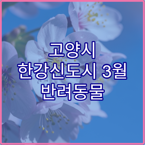 고양시 한강신도시 3월 반려동물 산책 주의사항 가이드