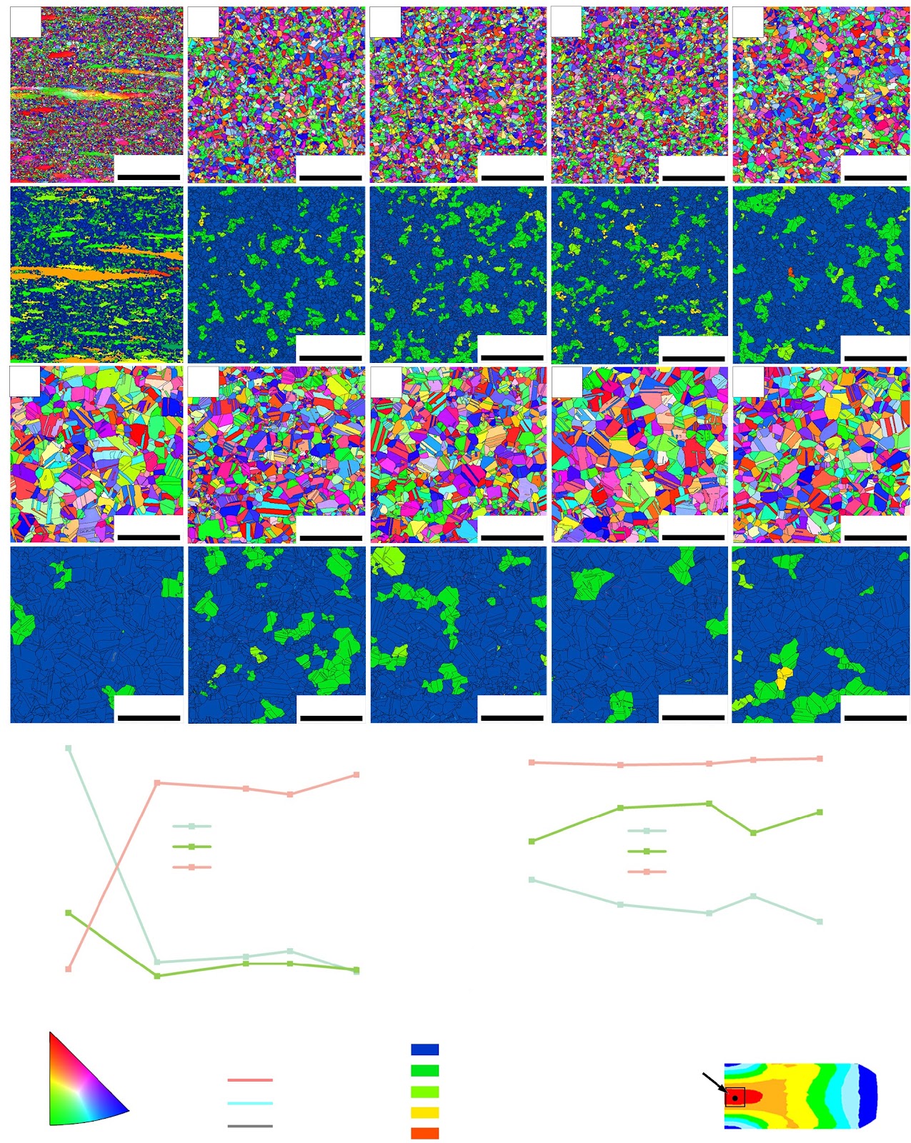 Effect of post-dynamic recrystallization on microstructure evolution of GH141 superalloy after gradient thermal deformation