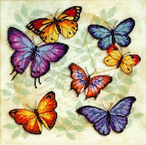 CMP DIM35145 Butterfly Profusion