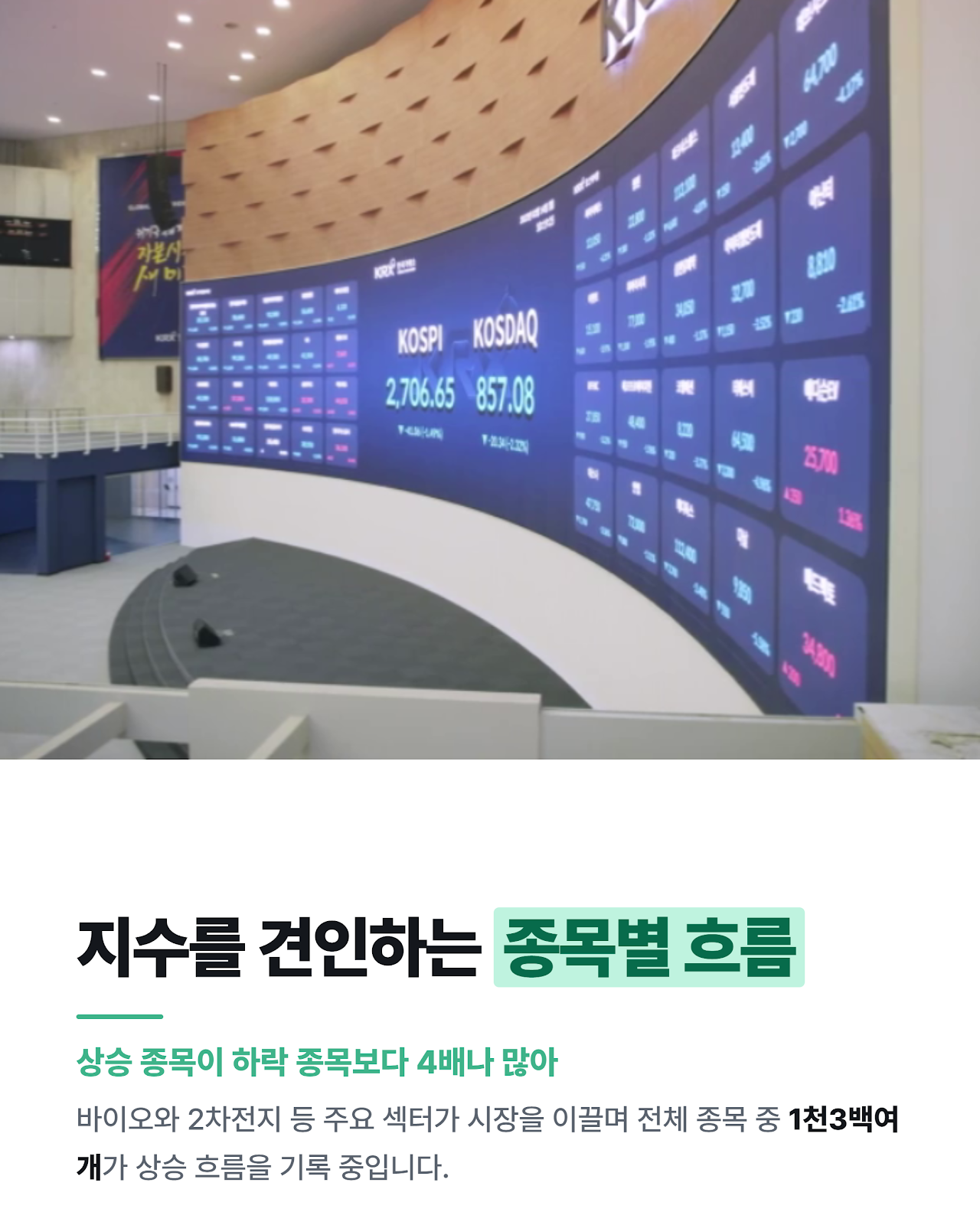 카드뉴스