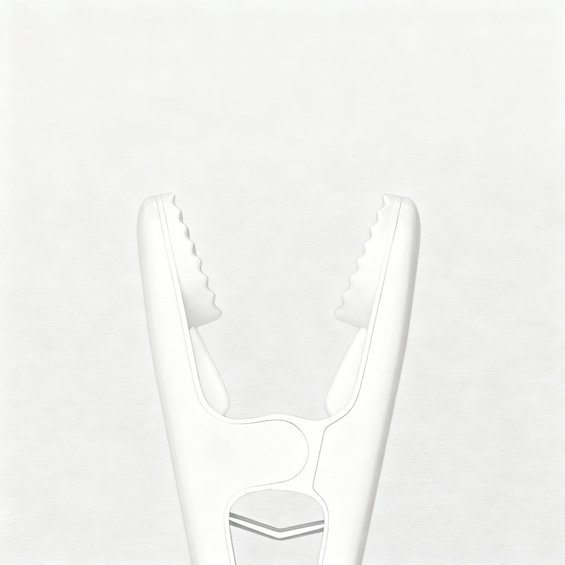 Plastic clothespins, set of 12