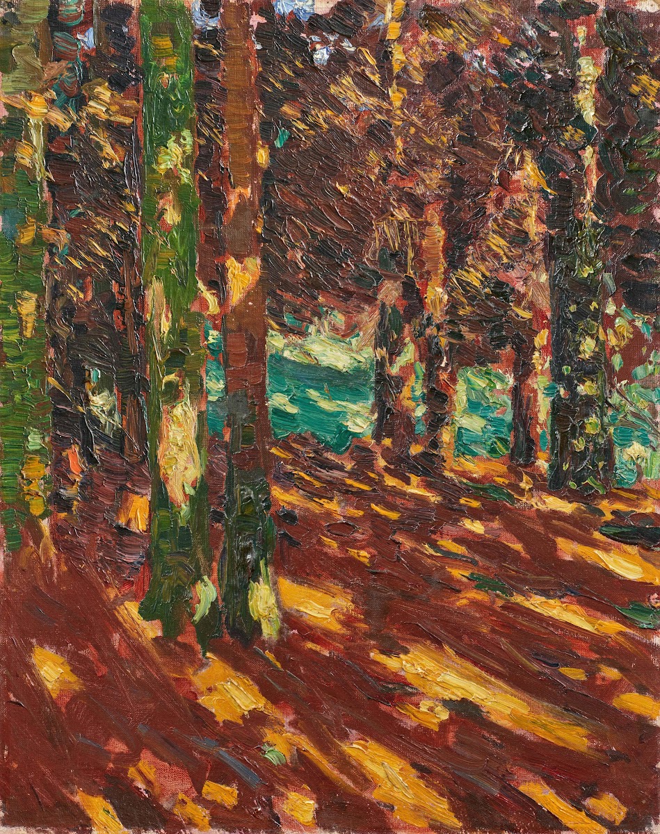 Sonnenflecken im Tannenwald 1906