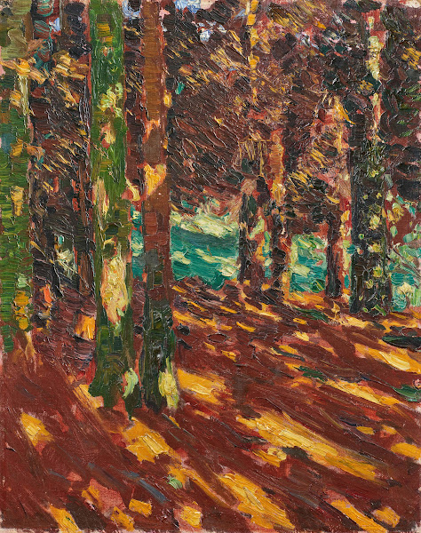 Sonnenflecken im Tannenwald 1906