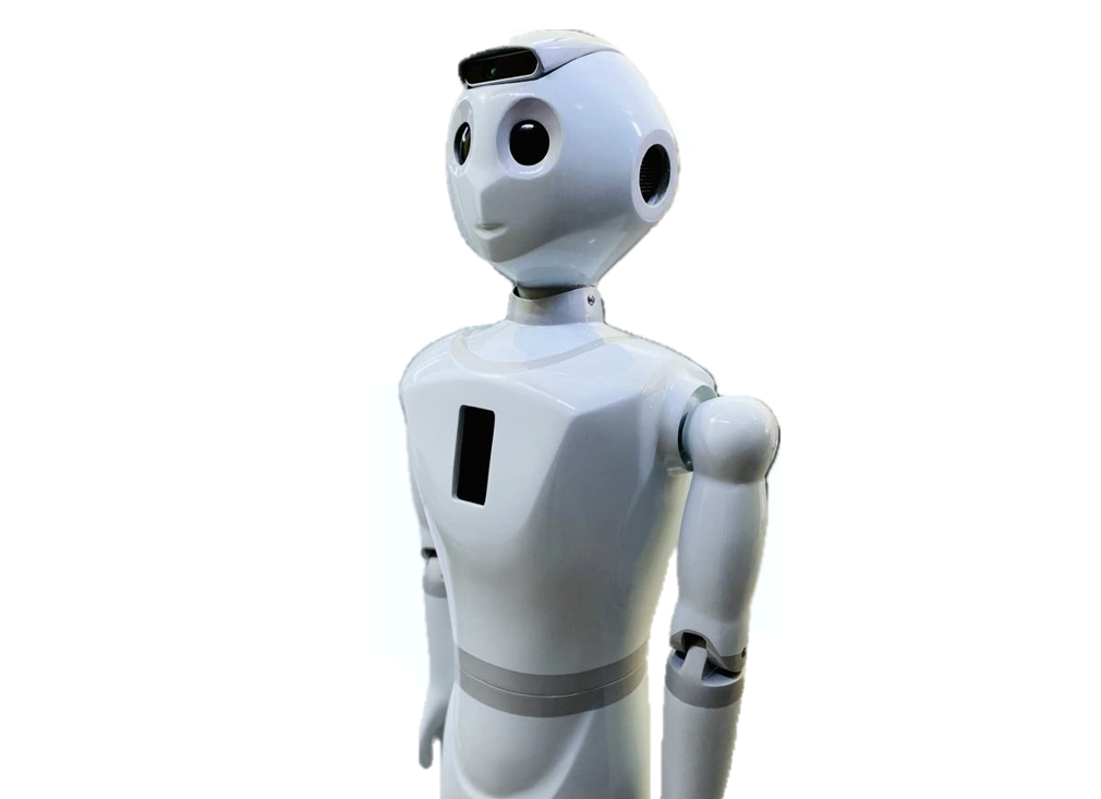 Humanoid Robot v2