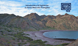 Curso destacado: Introducción a la legislación en Áreas Naturales Protegidas