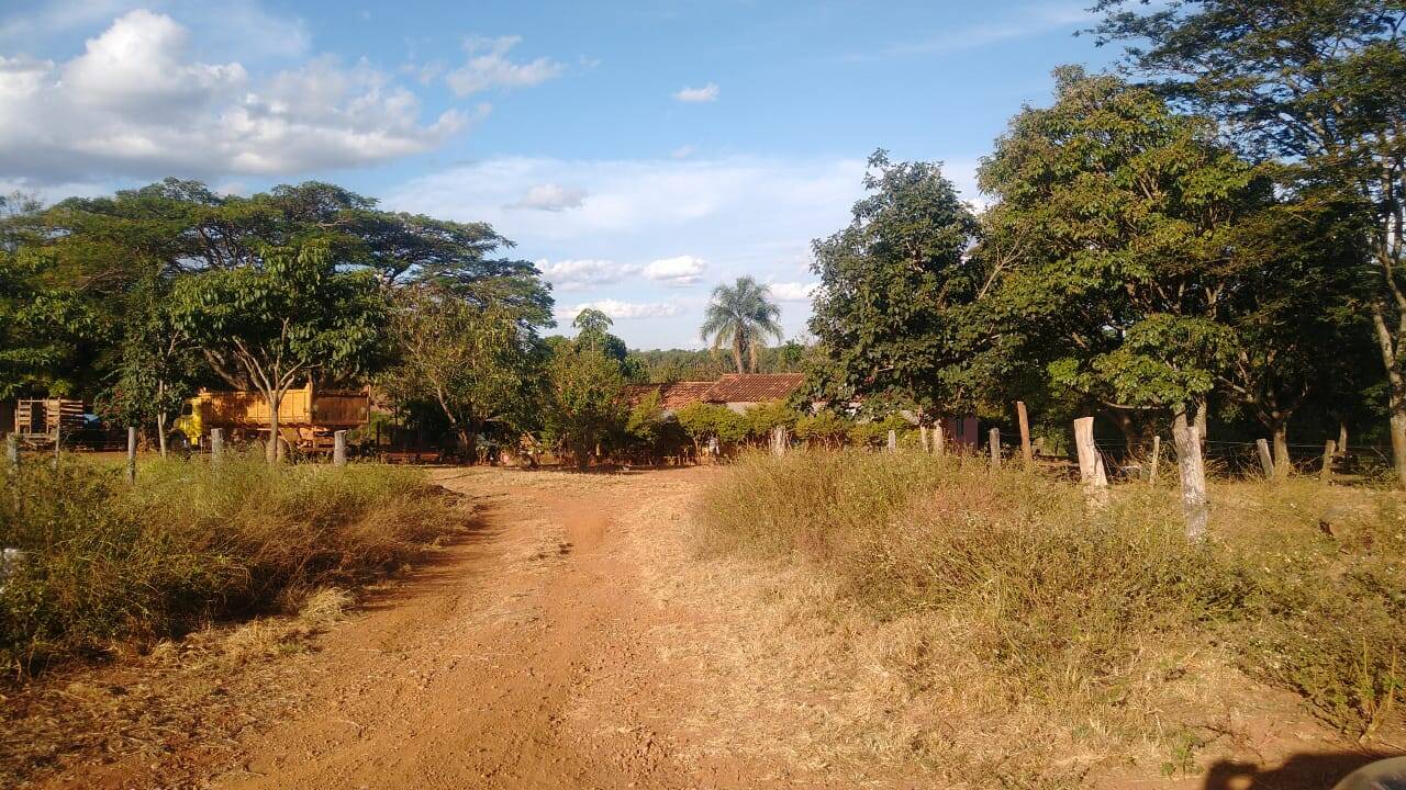 Fazenda em Pires do Rio - GO 8