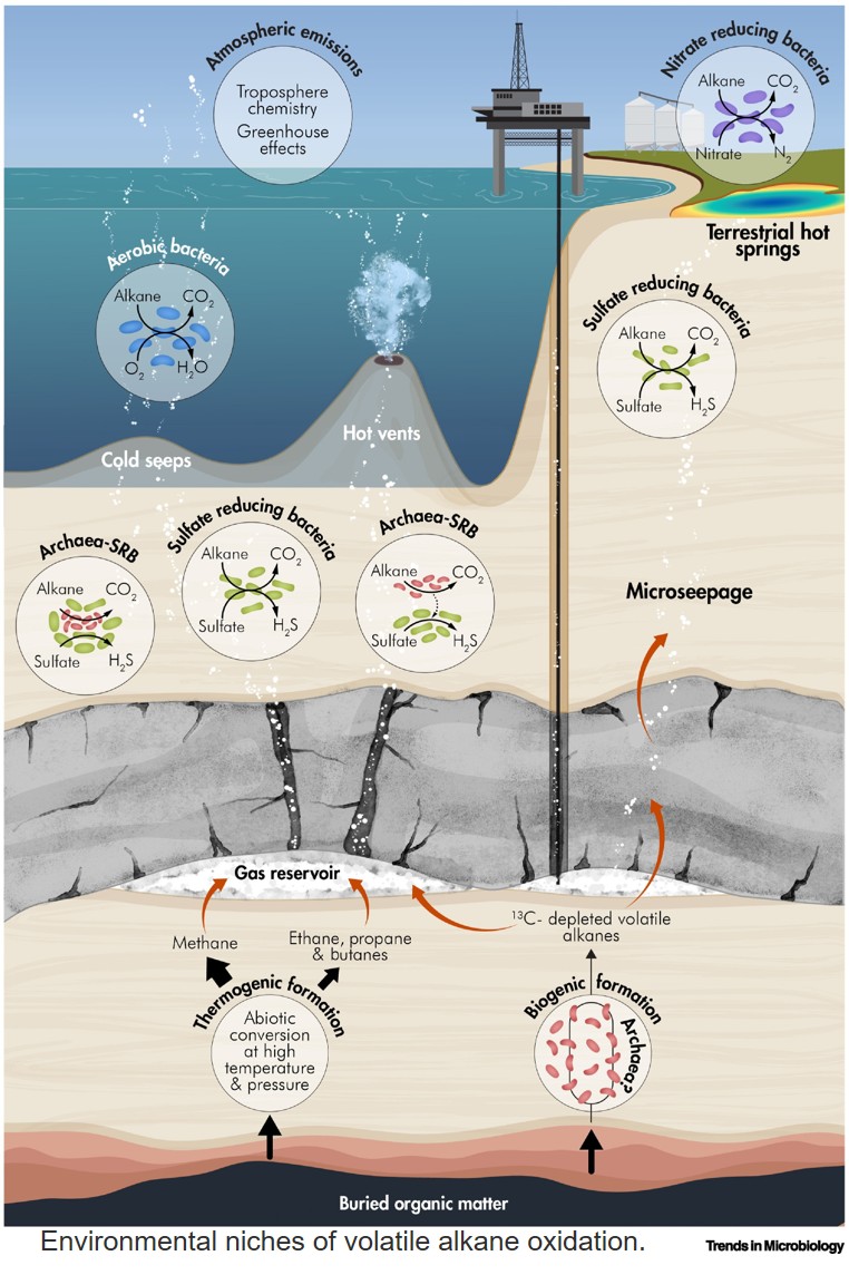 Anaerobic oxidation of short-chain volatile alkanes