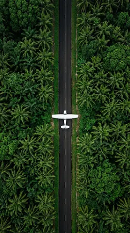 Airplane Over Tropical Jungle Road