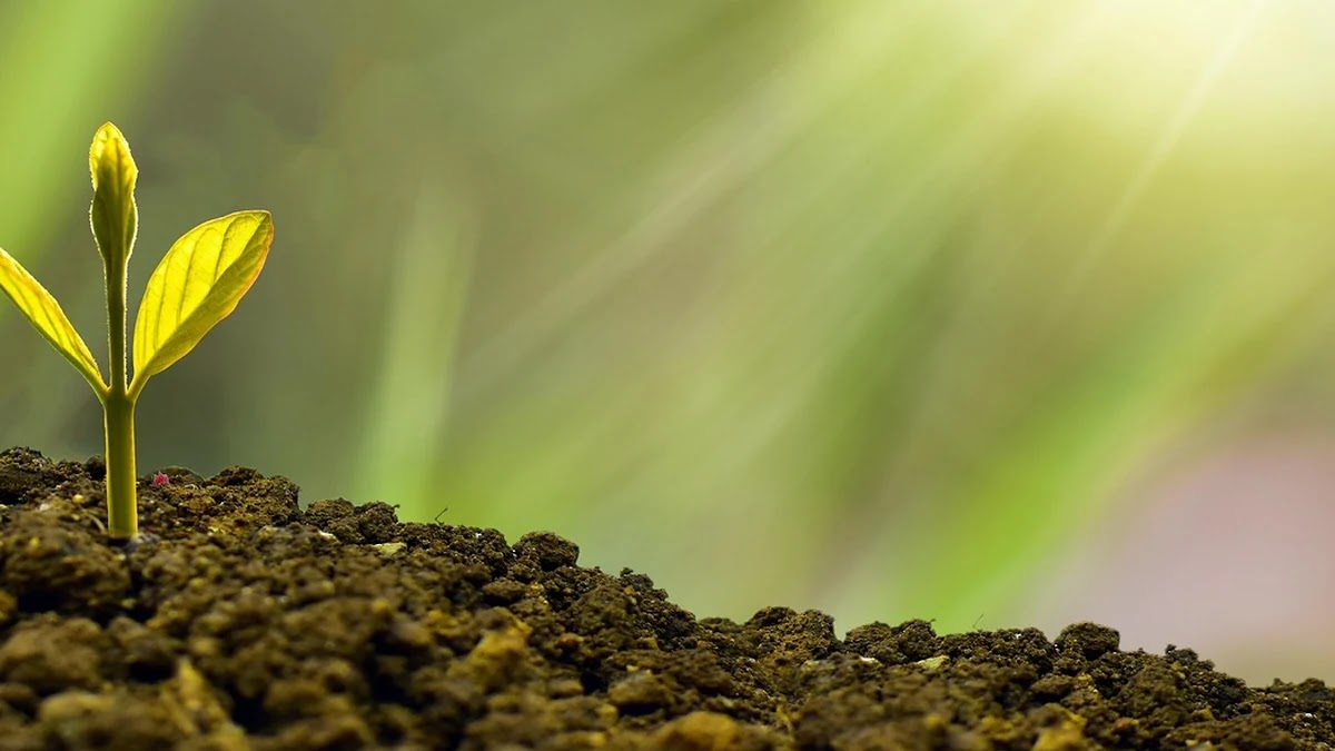 금리 인하 시기 투자처 선택 시 고려해야 할 조건들