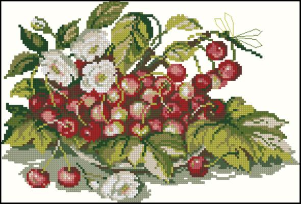 CMP 200074 Berries