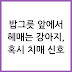 강아지가 식사 장소를 잊는 행동의 의미와 특징