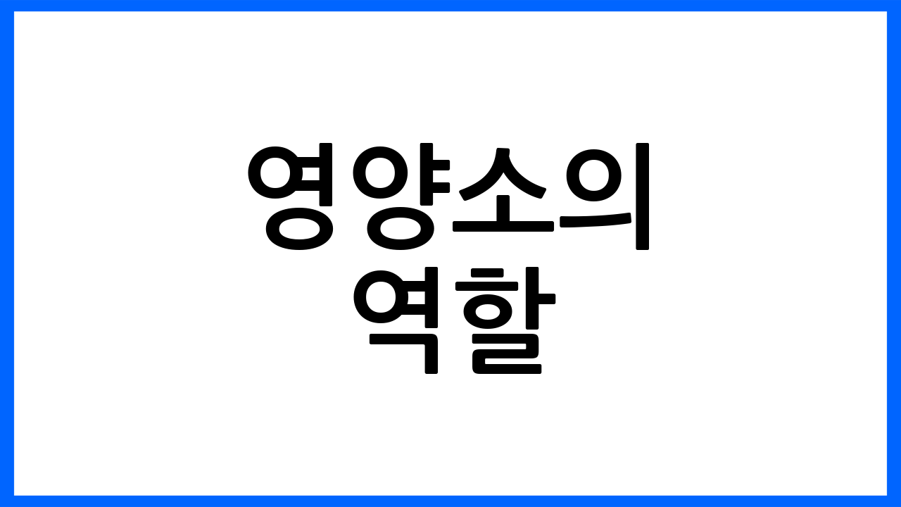 영양소의 역할