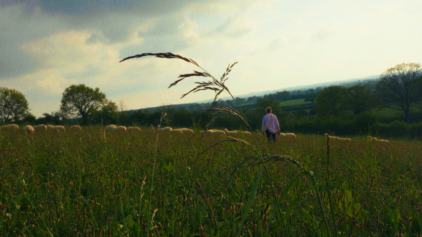 Gutchpool Farm