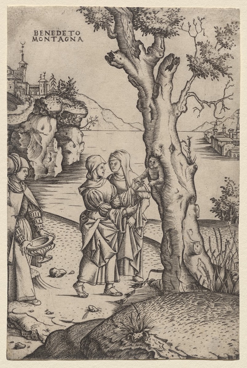 Birth of Adonis c 151520