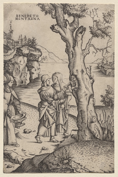 Birth of Adonis c 151520