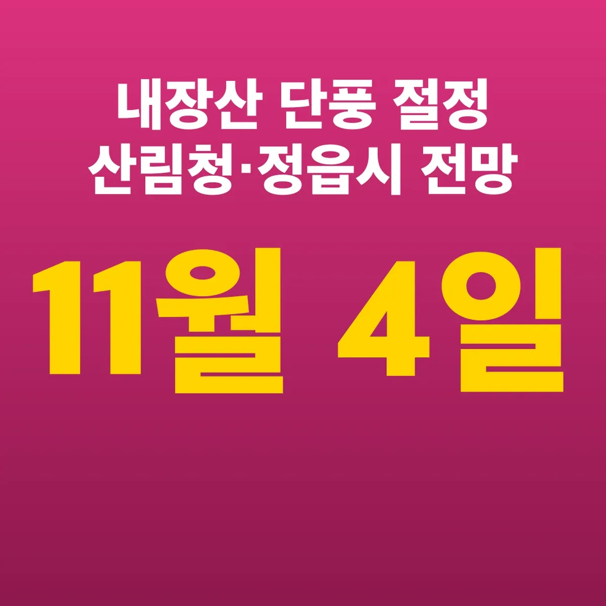내장산 단풍 절정 11월 4일 산림청·정읍시 전망 차이