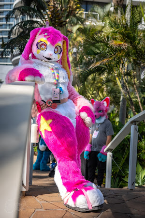 furdu-03942.jpg