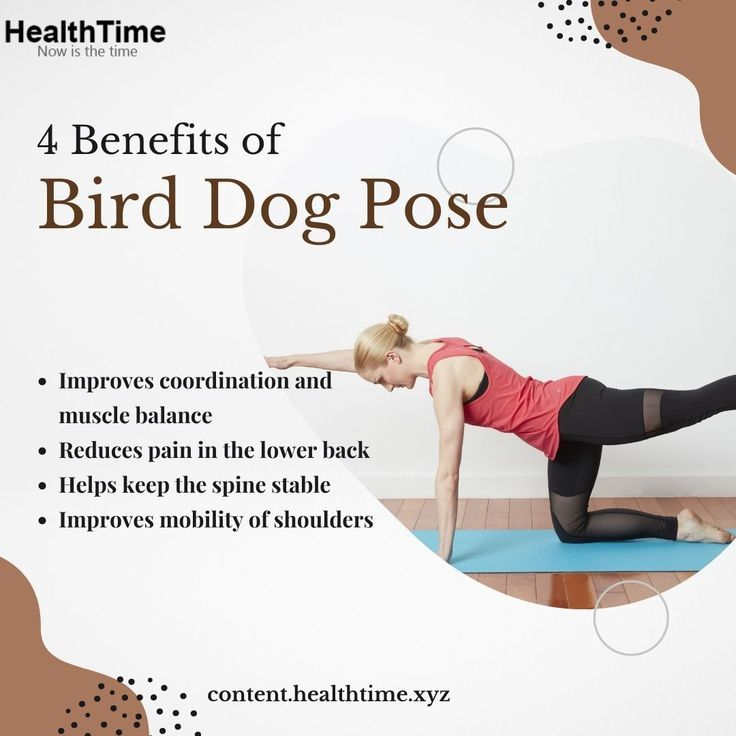 bird dog exercise for 