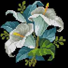 CMP 171434 Whiter Than White