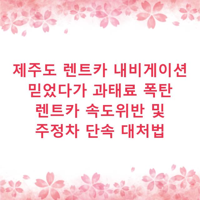 제주도 렌트카 내비게이션 믿었다가 과태료 폭탄 렌트카 속도위반 및 주정차 단속 대처법