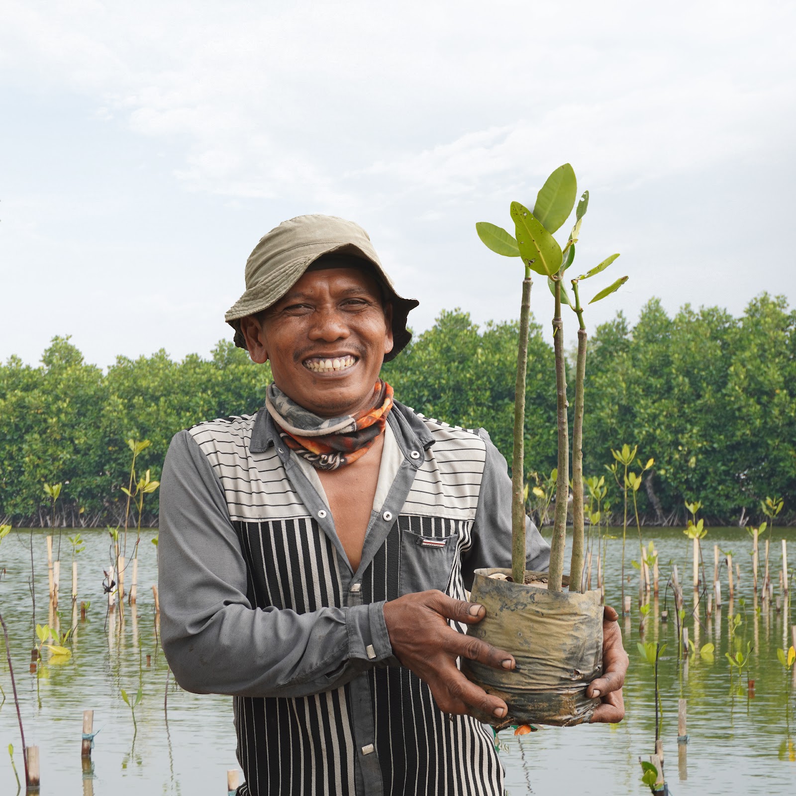 Mangrove planting by CarbonEthics is carried out by local farmers.