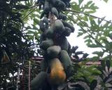 Ảnh Bước 2