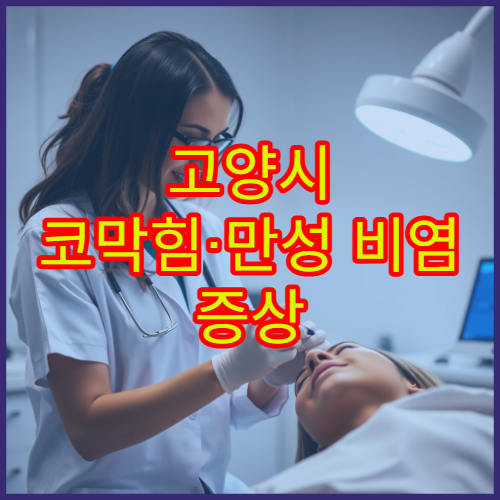 고양시 코막힘·만성 비염 증상 진단과 치료 전문 병원 정보