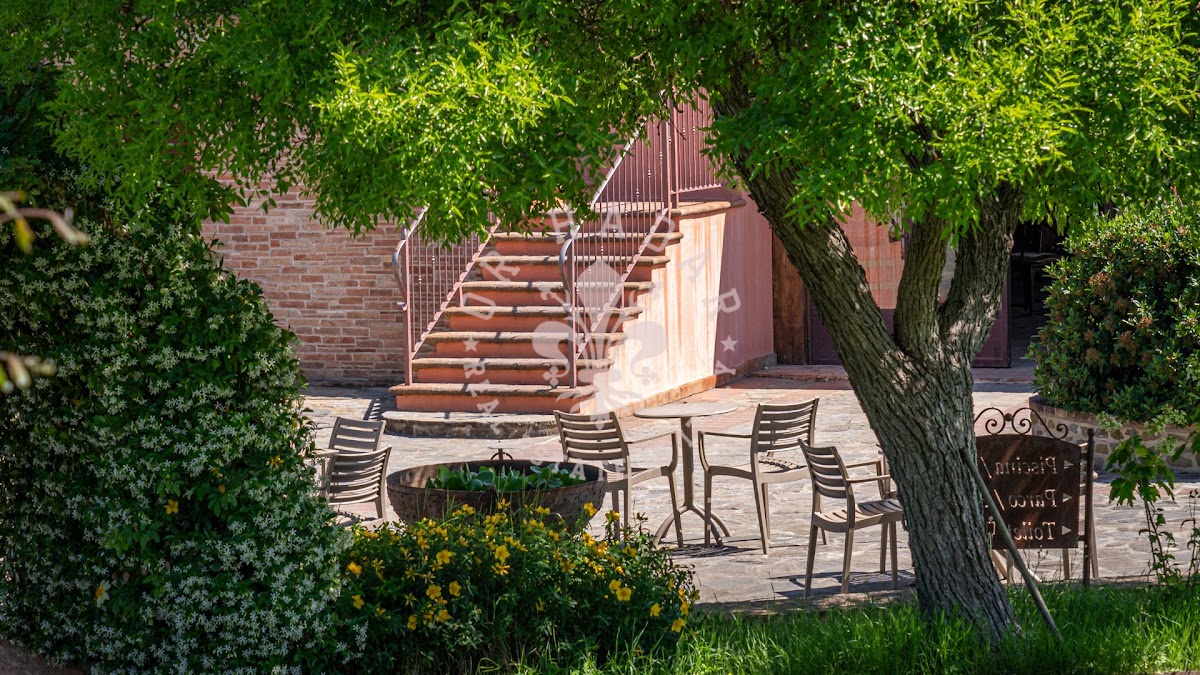 אחוזת סרנלה (Tenuta Serenella) — 24