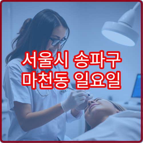 서울시 송파구 마천동 일요일 내과 진료 병원 주말 진료