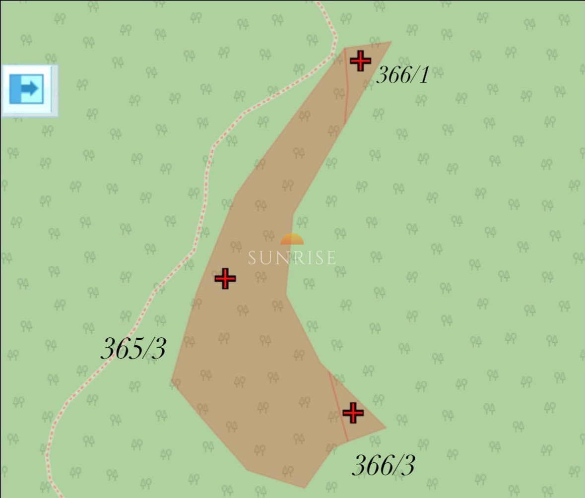 Działka leśna 48,75 a | Szczawnica | 80 000 zł — działka, Bereśnik, 5, Szczawnica
