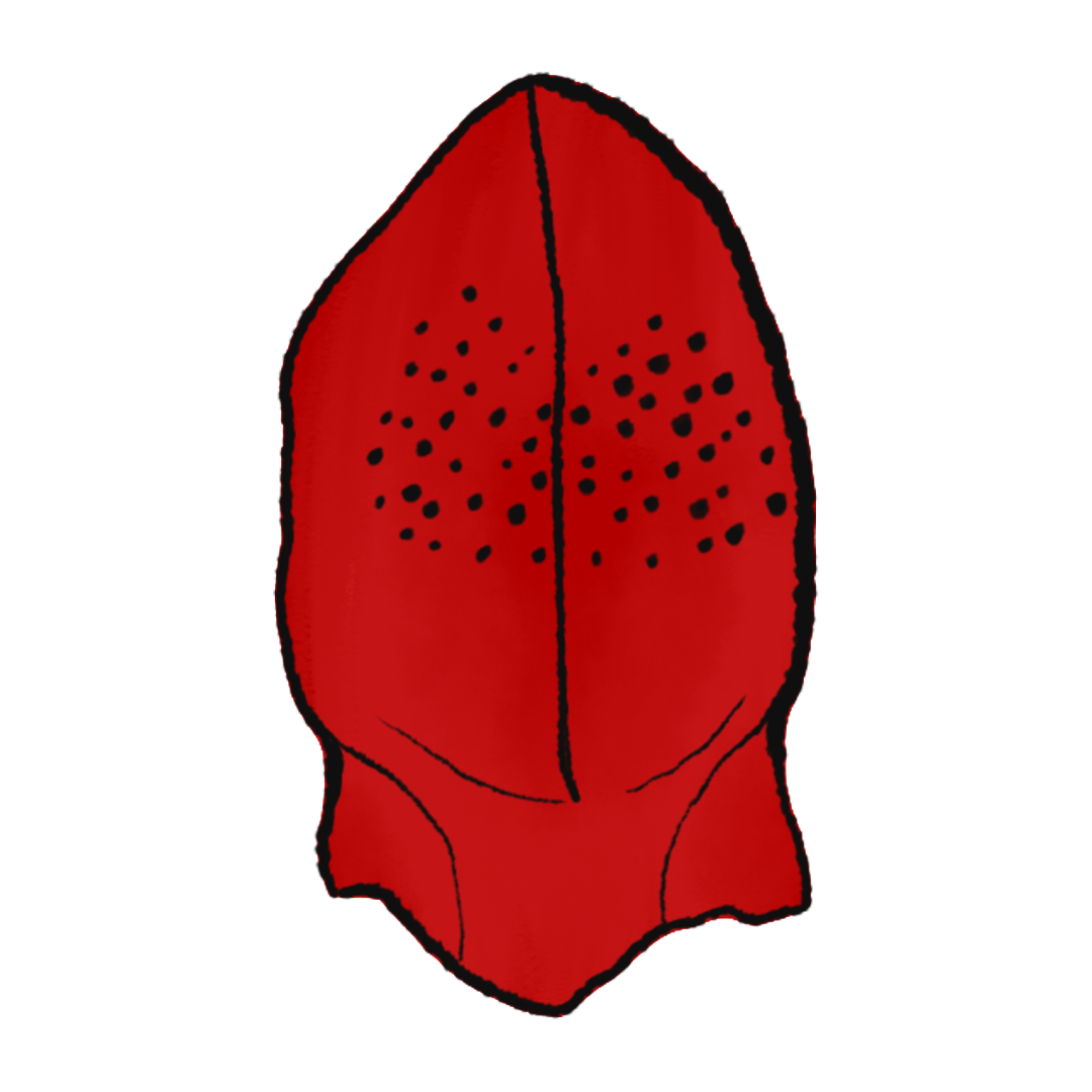 Yeezy Peforated Mask product image
