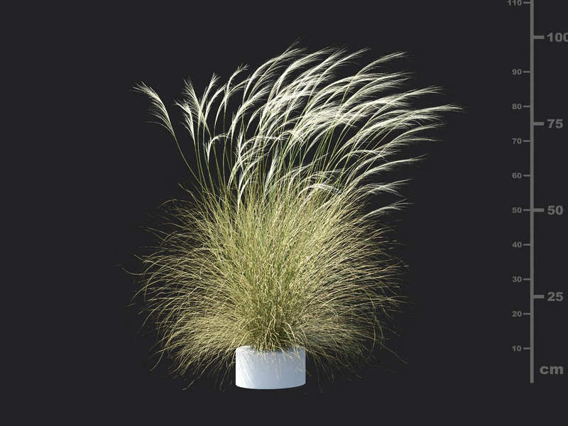 Maxtree - Plant Models Vol.115
