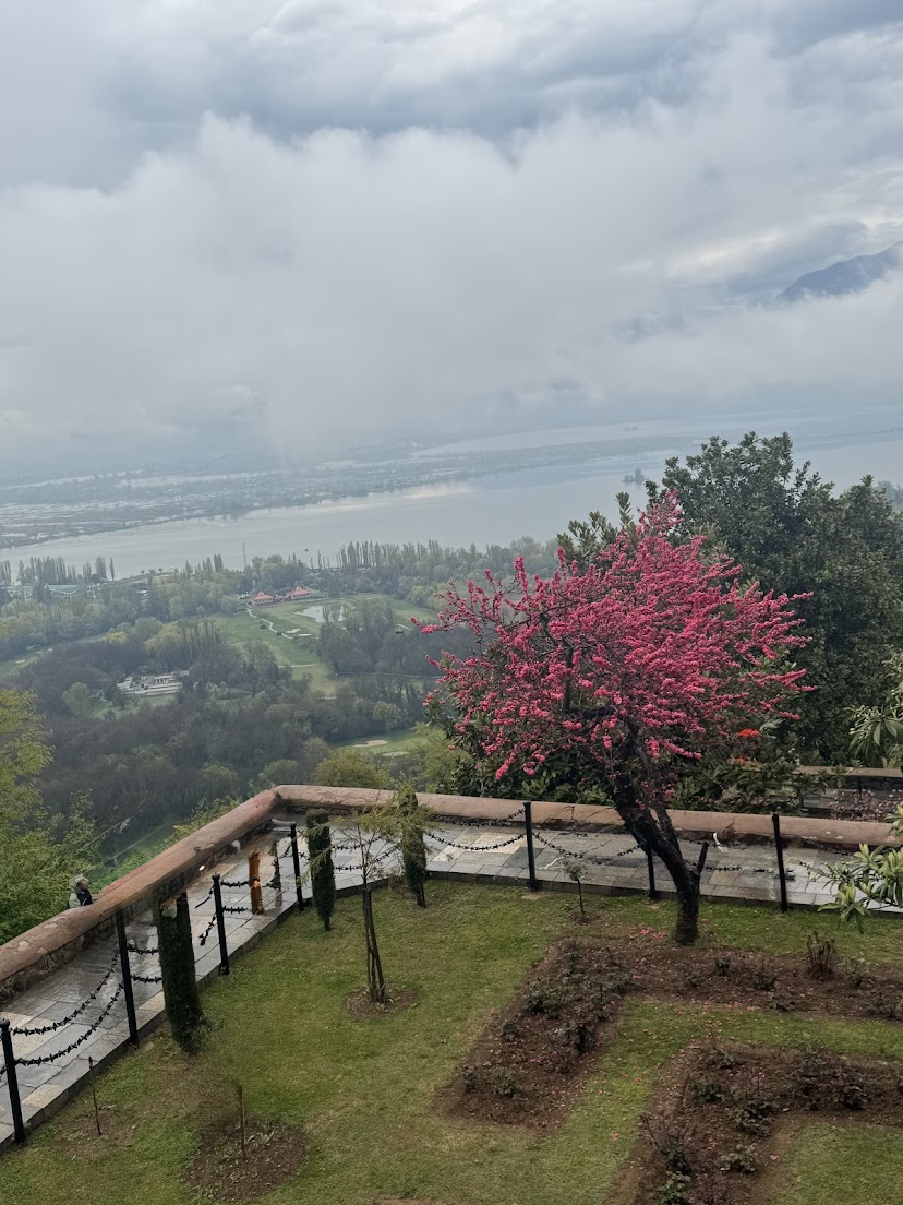 Kashmir Trip