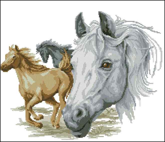CMP 400555 Multicolored Horses