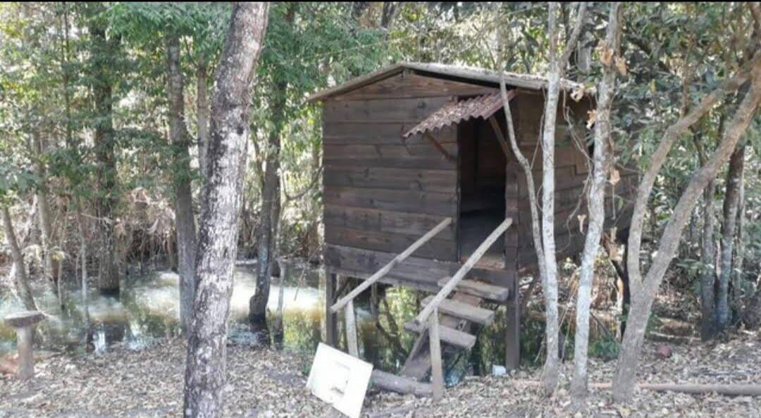 Chácara em Bela Vista - GO 8