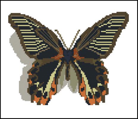 CMP 130154 Butterfly