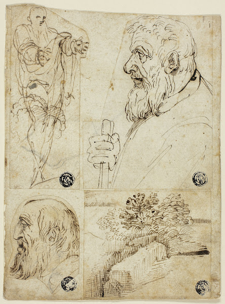Four Sketches Standing Male Figure Profile Bust of Bearded Man Profile Head of B