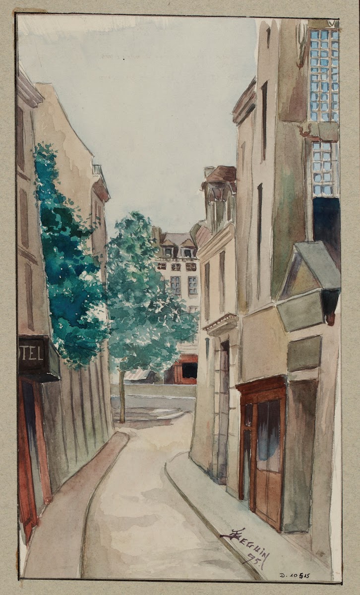 Rue Des Grands Augustins 1895