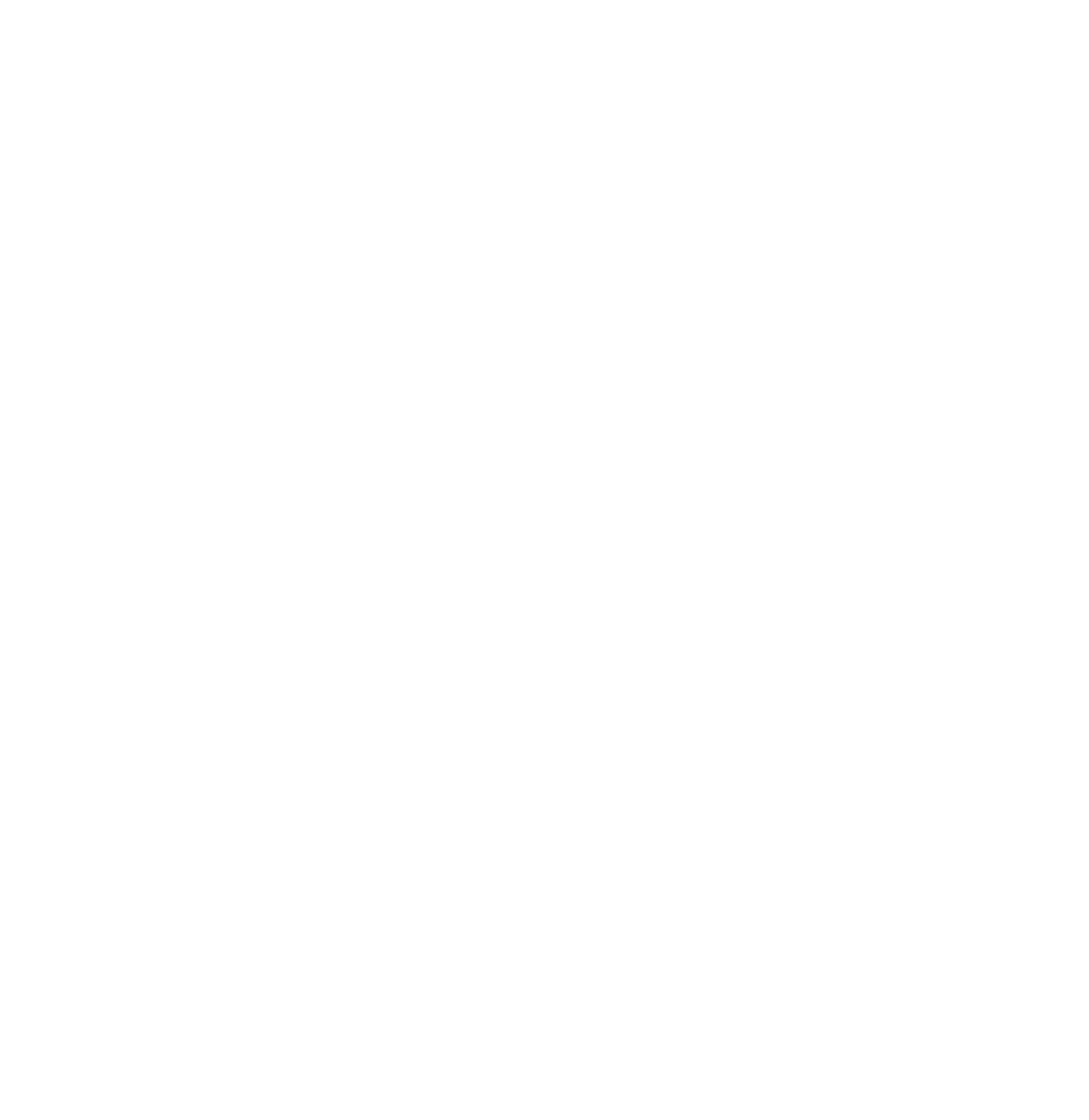 Avenoir Logo