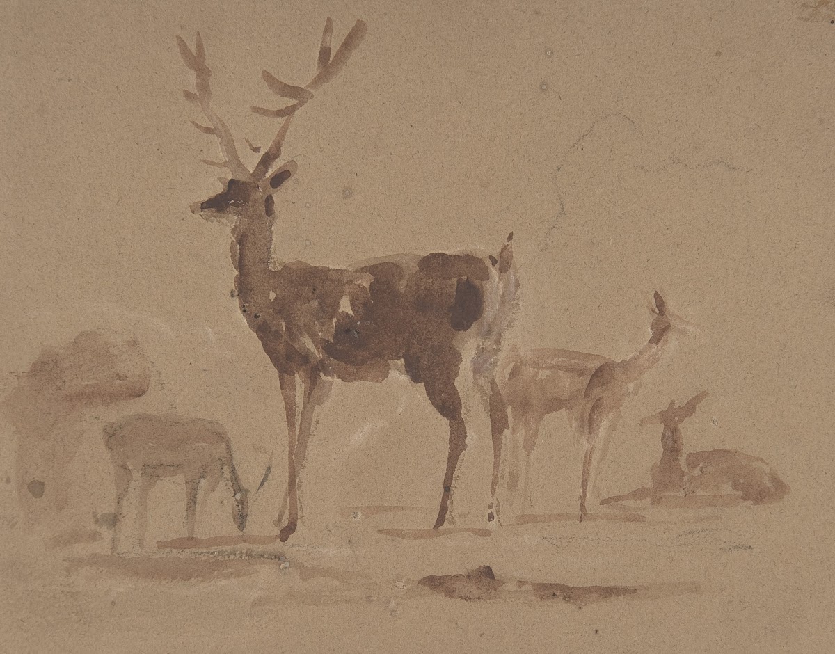 Stag and Its Young 182073