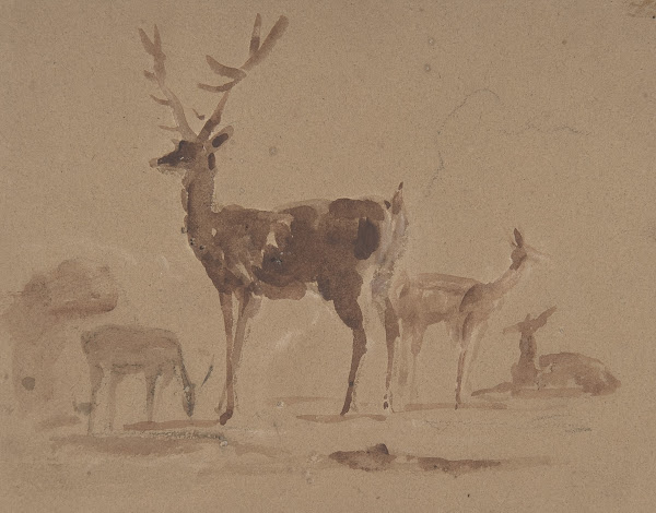 Stag and Its Young 182073