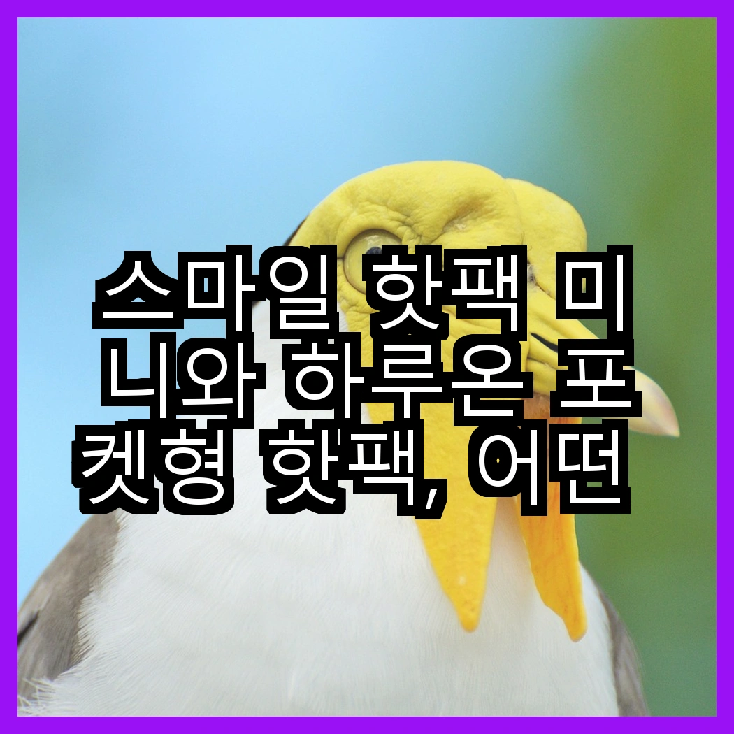 스마일 핫팩 미니와 하루온 포켓형 핫팩, 어떤 선택이 더 편할까? 썸네일