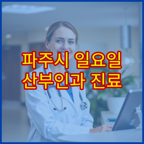 파주시 일요일 산부인과 진료 병원 여성질환·산전검사 상담 가능