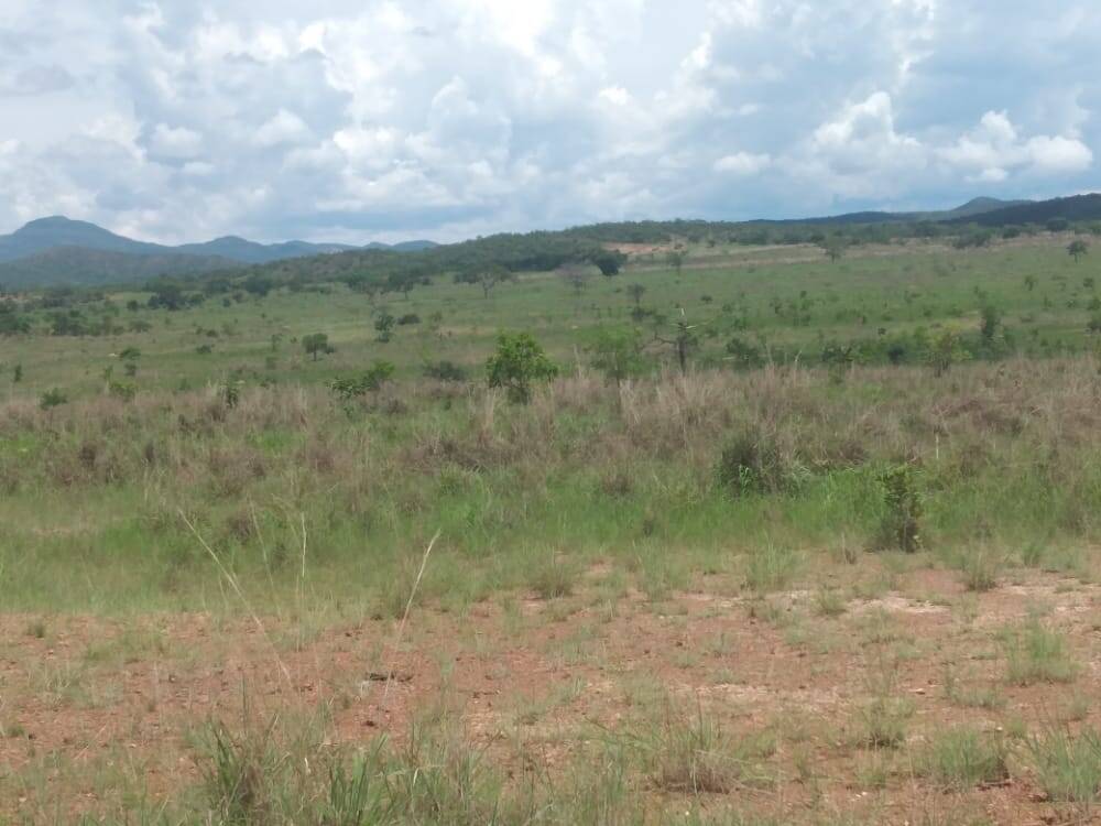 Fazenda em Niquelândia-GO 4