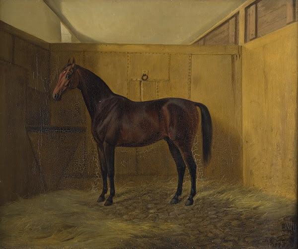 Hersilia 1846   1847