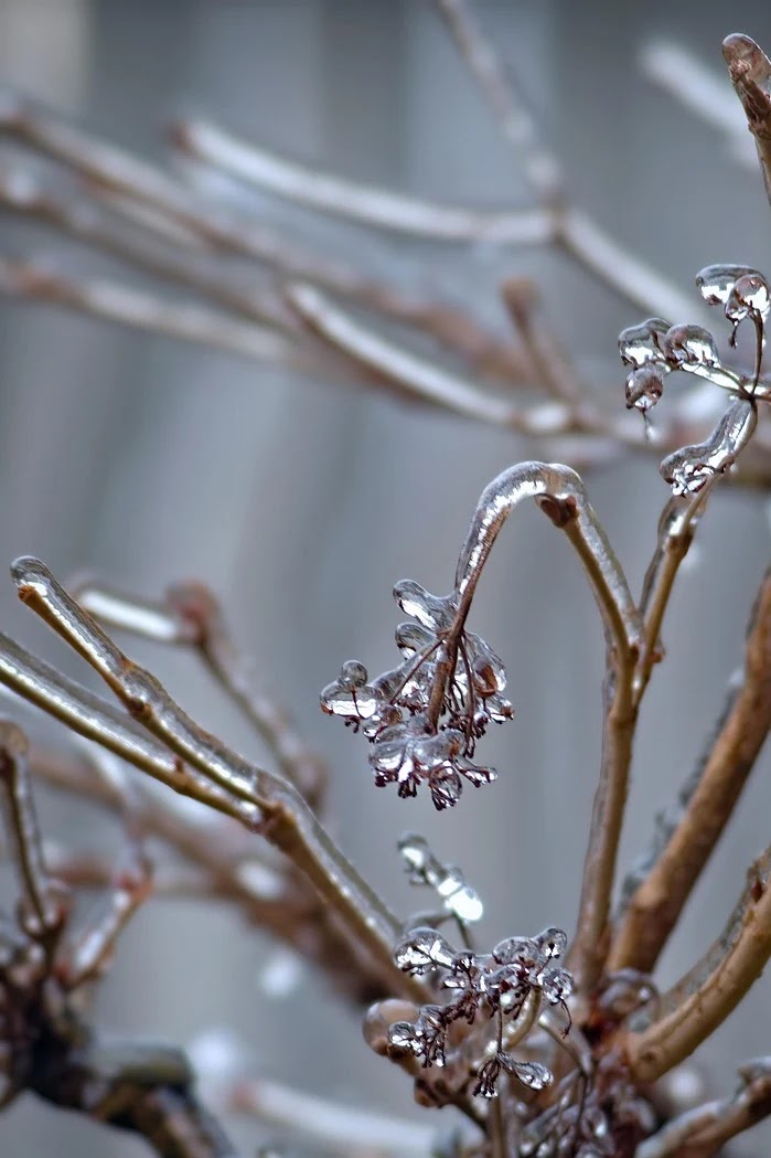 내용증명 보내는 법과 소비자 분쟁 해결을 위한 심리적 접근