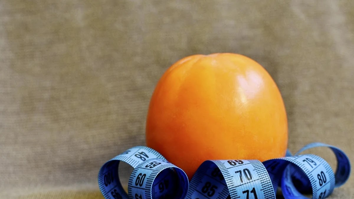 체중 감량을 돕는 건강한 간식 종류와 칼로리 관리법