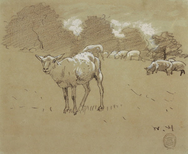 Sheep Grazing in a Field 1878