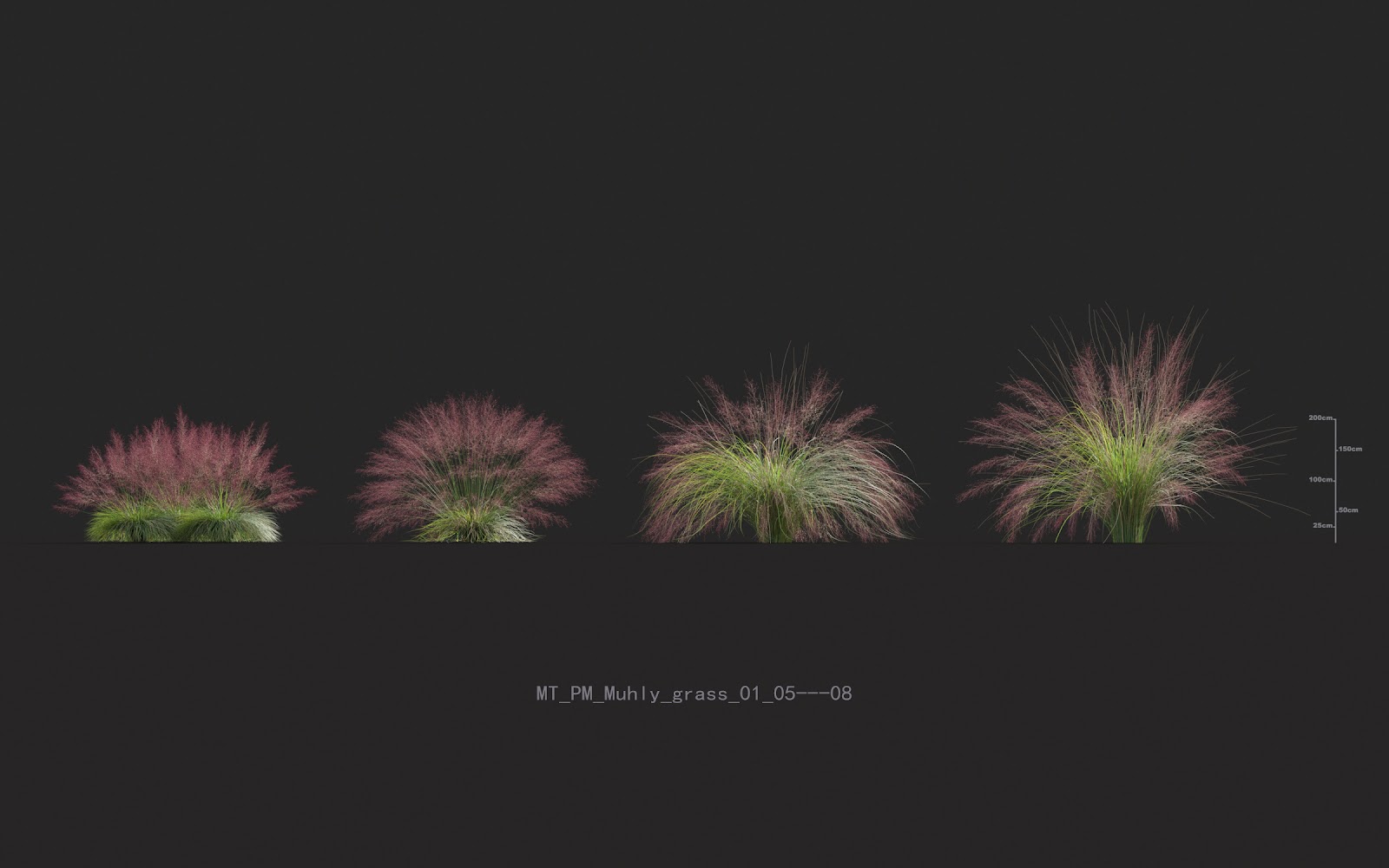 Maxtree - Plant Models Vol.20