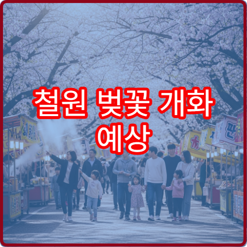 철원 벚꽃 개화 예상 철원 봄꽃 절정 시기